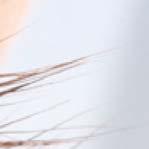 on Protection Recovery and Lubricity in Models of Corneal Epithelium.