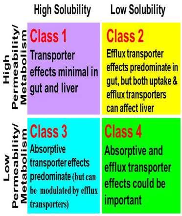 BDDCS (biopharmaceutics drug disposition classification system) interakció polimorfizmus Uptake Efflux interakció polimorfizmus Uptake Efflux Uptake Efflux Uptake