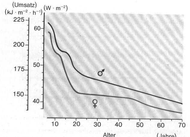 22-24 o C) Az alap-energiaforgalom életkor és nem függése BMR életkor (év) A zsírmentes testtömegre (lean