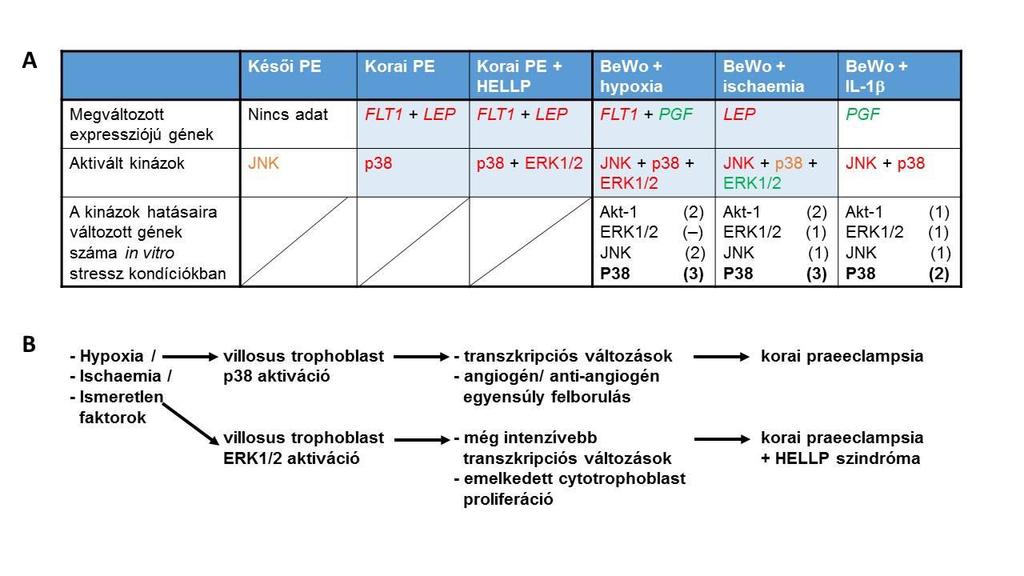17. ábra.