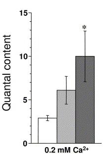 R192Q/R192Q Spontaneous Release Evoked