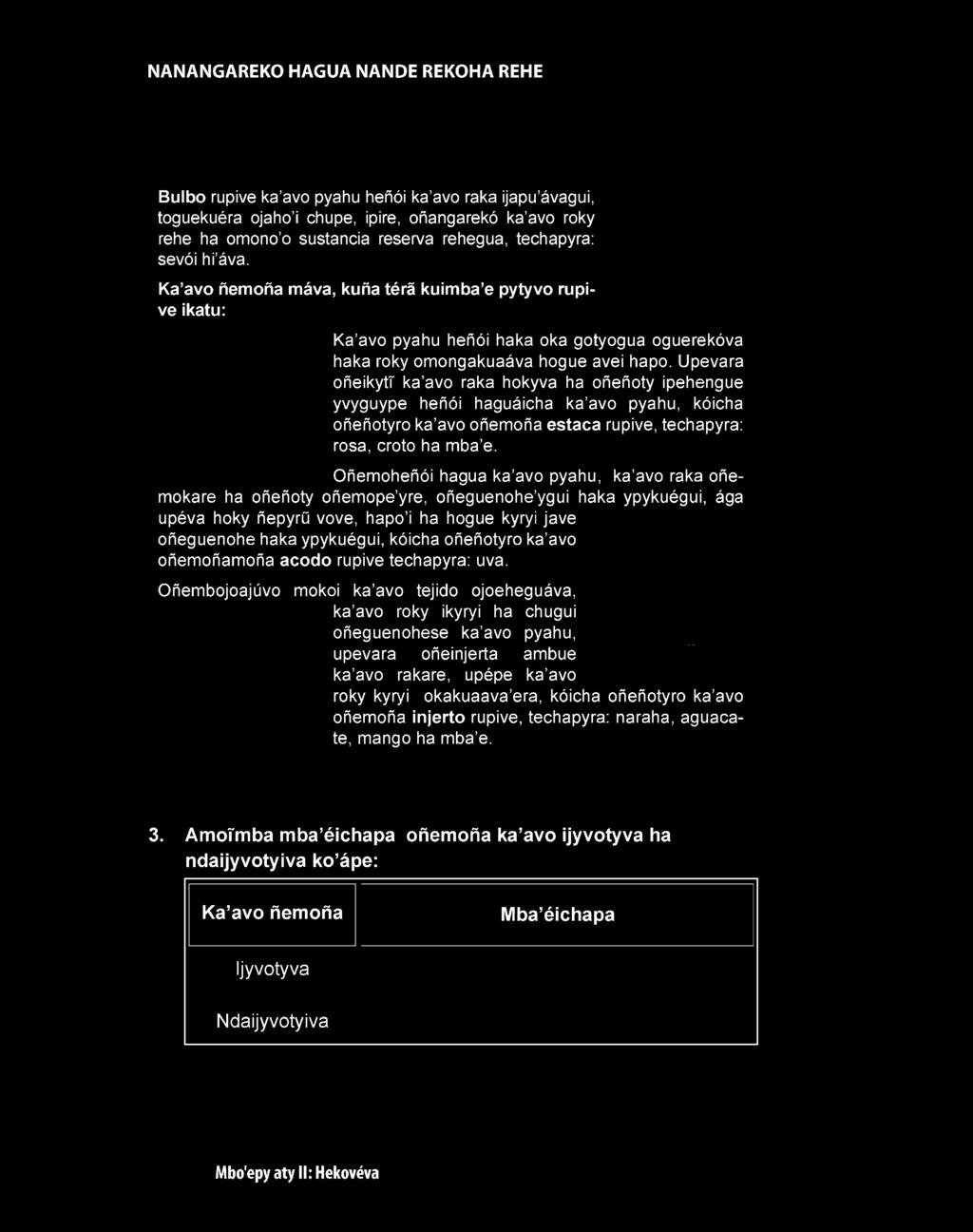 haka oka gotyogua oguerekóva haka roky omongakuaáva hogue avei hapo.
