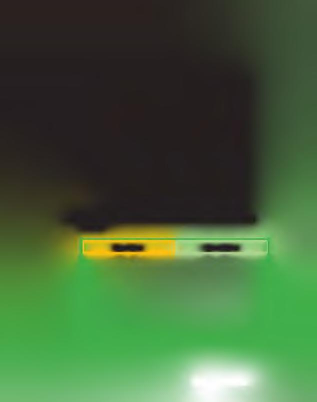 C R O P L A M A L A C A S I N F L O R R E S O F E