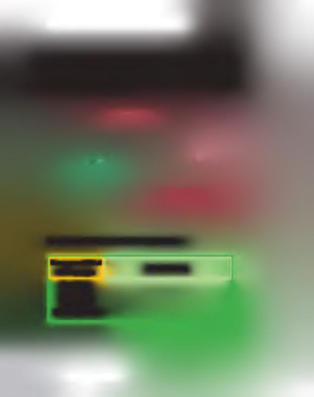 Ñ A Ñ A N G A R E K O H A G U A Ñ A N D E R E K O H A REHE superdepredador okaru