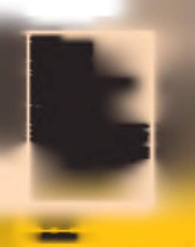 N A N A N G A R E K O H A G U A N A N D E R E K O H A REHE La