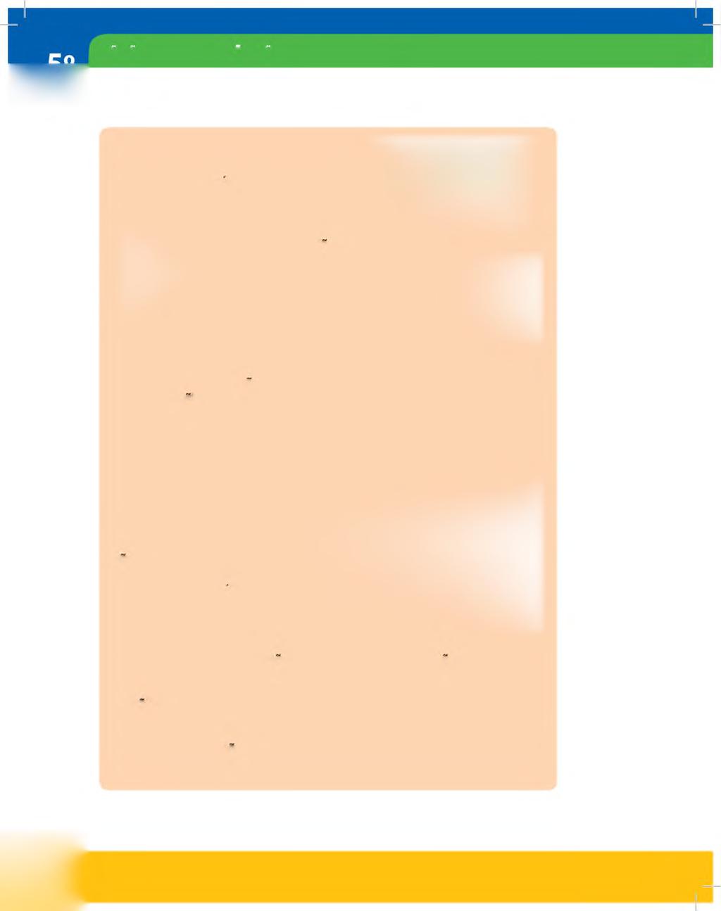 N A N A N G A R E K O H A G U A N A N D E R E K O H A REHE Pliegue Placa
