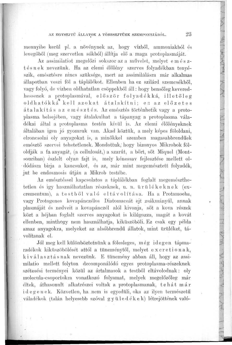 AZ EGYSEJTŰ ÁLLATOK A TÖBBSEJTŰEK SZEMPONTJÁBÓL. 23 mennyibe kerül p!. a növénynek az, hogy vízből, ammóniákból és levegőből (meg szervetlen sókból) állítja elő a maga protoplasmáját.