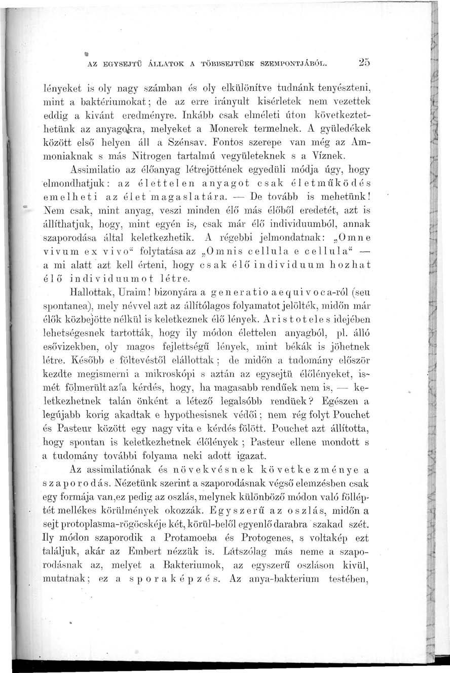 AZ EGYSEJTŰ ÁLLATOK A TÖBBSEJTŰEK SZEMPONTJÁBÓL.