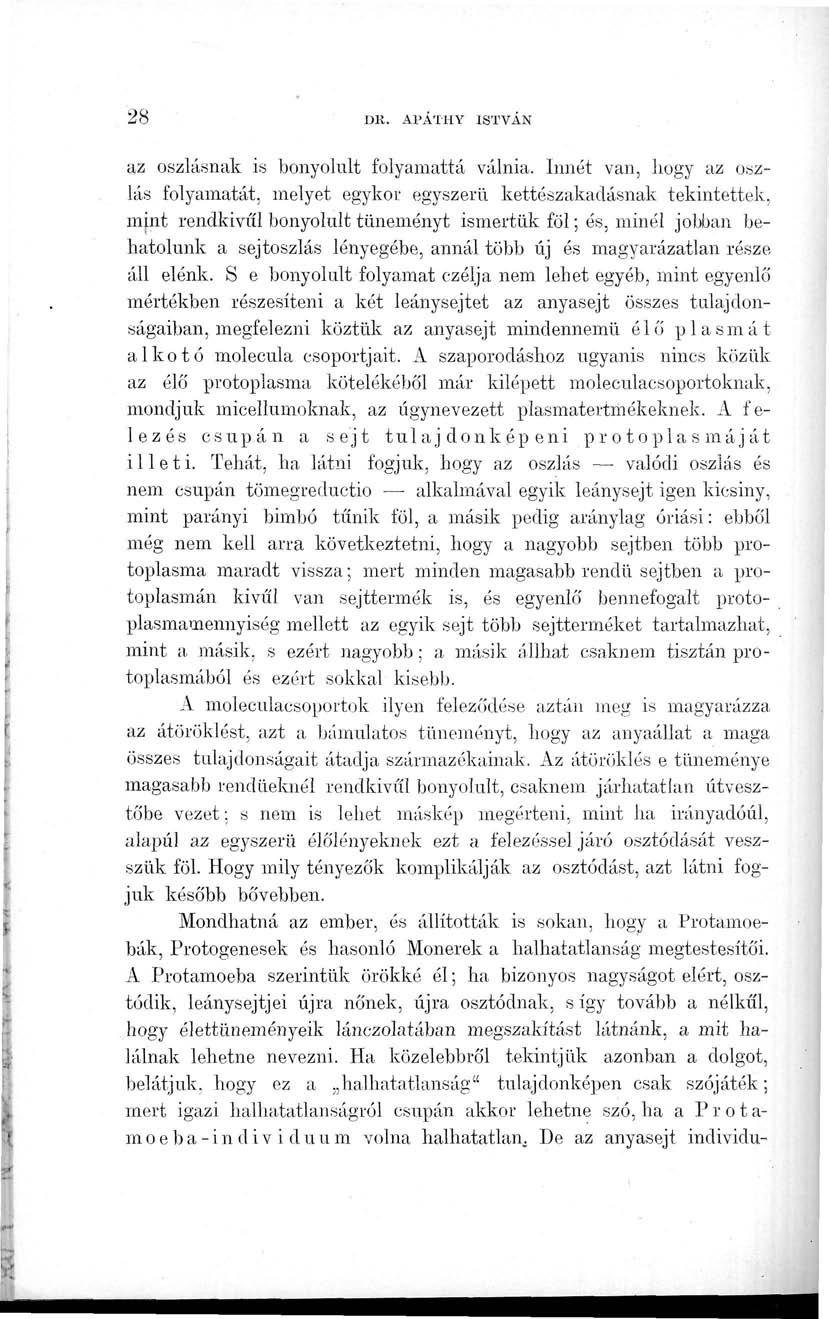 28 DK. Al'ATHY ISTVÁN az oszlásnak is bonyolult folyamattá válnia.