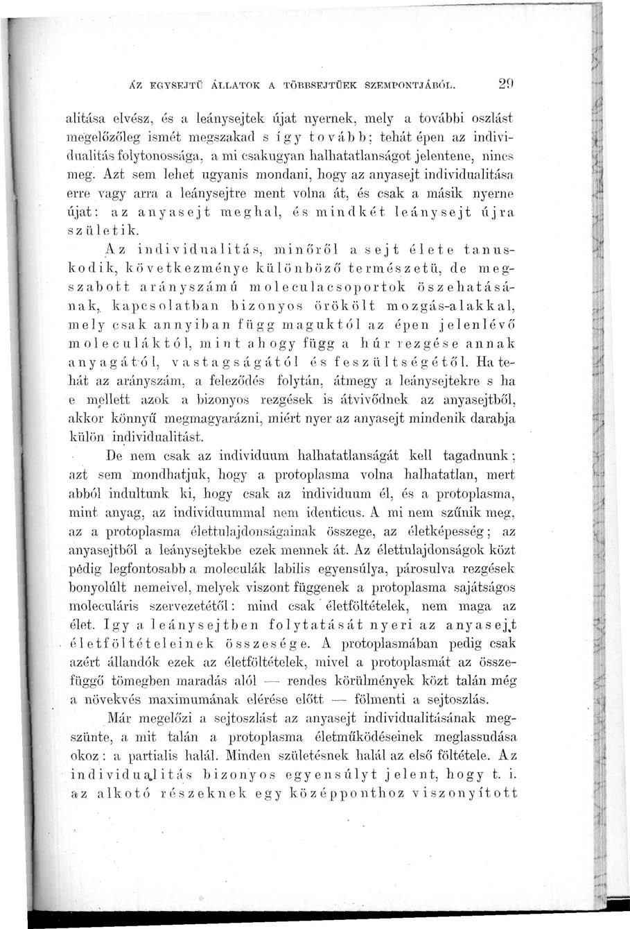 ÁZ EGYSEJTŰ ÁLLATOK A TÖBBSEJTŰEK SZEMPONTJÁBÓL.