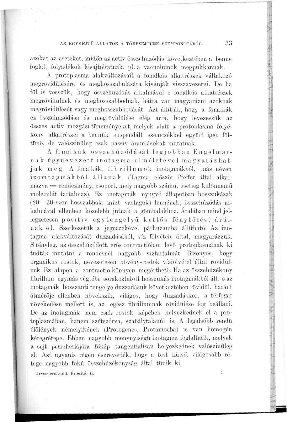 AZ EGYSEJTŰ ÁLLATOK A TÖBBSEJTŰEK SZEMPONTJÁBÓL. 33 azokat az eseteket, midó'n az activ összehúzódás következtében a benne foglalt folyadékok kisajtoltatnak, pl. a vacuolumok megpukkannak.
