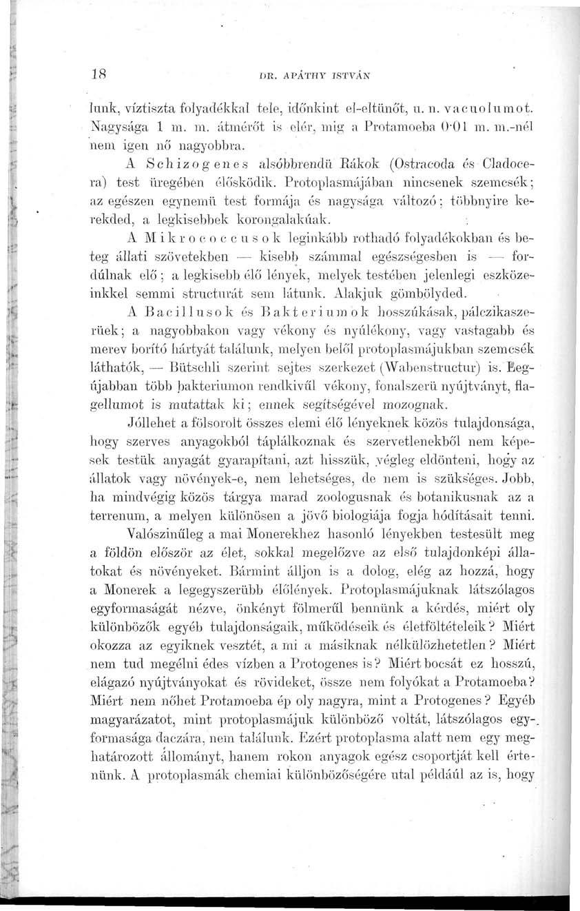 18 r>r. APÁTHY ISTVÁN lünk, víztiszta folyadékkal tele, időnkint el-eltünőt, u. n. vacuolumot. Nagysága 1 m. in. átmérőt is elér, mig a Protamoeba 001 m. m.-nél nem igen nő nagyobbra.
