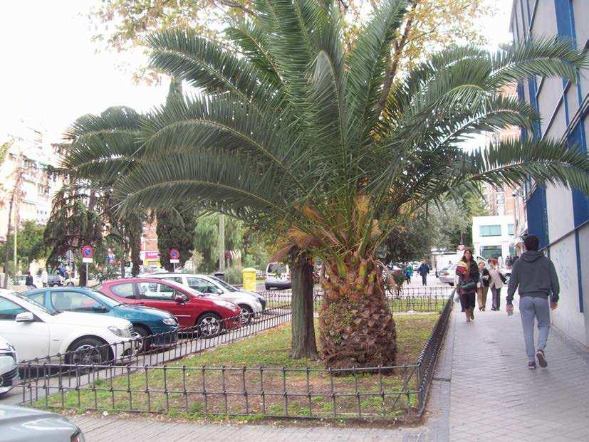 DE ZONAS DE