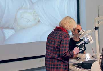 - - - Curriculum Endodontie - - Anmeldung bis zum 18.01.
