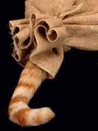 - - - - - - - - - - - - - - - - - - - - - - - - - Gesundheitsbericht und Bilder von der Veranstaltung auf: KATZE IM SACK ODER MIT DER KOCOBOX MED+ IN