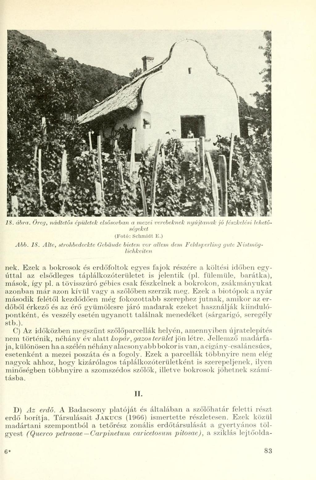 18. ábra. Öreg, nádtetős épületek elsősorban a mezei verebeknek nyújtanak jó fészkelési lehetőségeket (Fotó: Schmidt E.) Abb. 18.