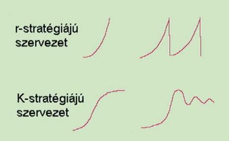 (Vtv.) és a végrehajtására kiadott rendelet (Vhr.). Azóta két üzemtervi ciklus telt el, azaz 20 év.