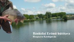 Tatabánya 20 vízhiányos terület: megújuló vízkészletek < 1000 m 3 /év/fő vízstresszes terület: megújuló vízkészletek = 1000-1700 m 3 /év/fő Forrás: 1: A világ helyzete 1993 2: ENSZ WWDP megújuló