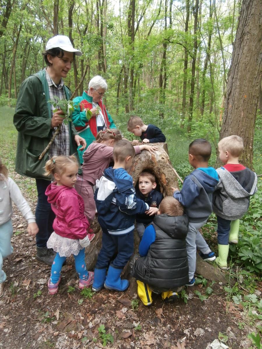 között. Az ősi tudás nem kap elég figyelmet, elismerést. Népszerűsíteni kell!