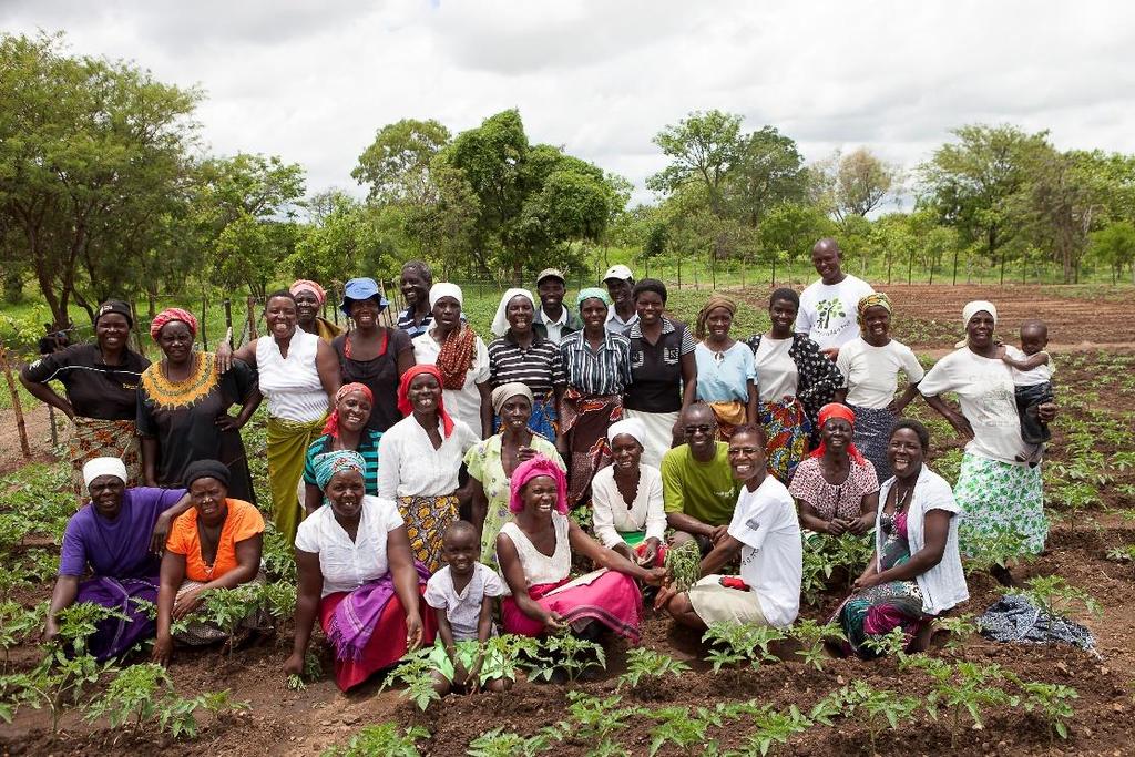 Afrika (jó megoldások kényszerhelyzetben) Az Afrika kertjei program folytatása (35 országban, több
