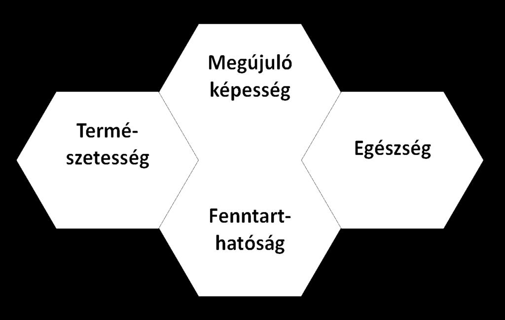 jövőképe - Balaton Kiemelt