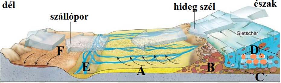 4. Milyen felszíni formákat alakított ki és hagyott hátra a jégkorszakban az olvadó síksági jégtakaró? Nevezd meg az ábrán betűkkel jelölt formákat! A... B. C. D. E.