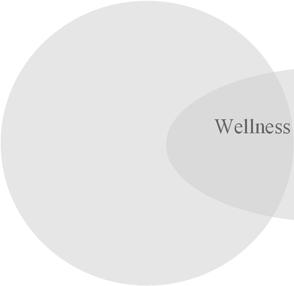 Turisztikai jellemzői: hosszú hétvége gyógy és wellness szállodákban, magánklinikákon. Az idősebb korosztály mellett, a fiatalabb generációt is magába foglalja.