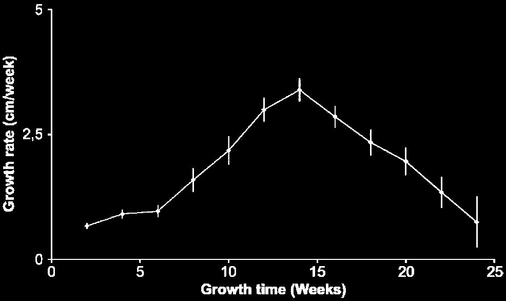 Növekedési ráta (cm/hét) Agancsnövekedési ráta. Az első agancs heti növekedési üteme (±SEM) ibériai szarvas (Cervus elaphus hispanicus) esetében (n=53). Növekedési idő (hét) Gaspar-López, E.