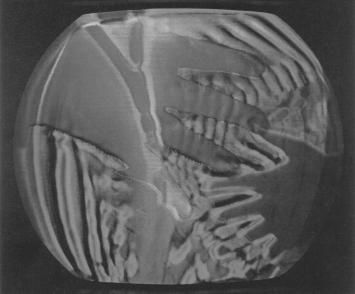 Melléklet Nam June Paik: Paik-Abe szintetizátor, 1971 nánk, így teljes a család, de nem csak erről van szó.