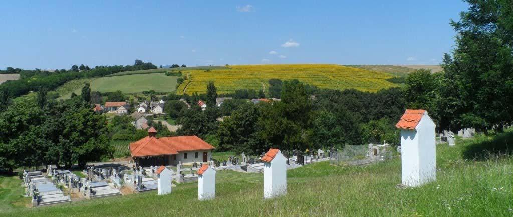 és felszínborításilag is