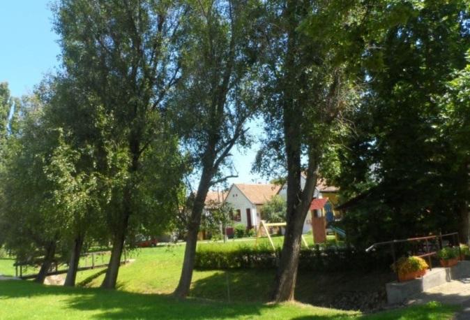 A templom környéki területen az örökzöldek dominálnak, talán túlságosan is eltakarva az épületet, de az idős hársfa is csak közelebbről tűnik fel.