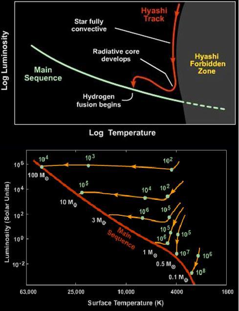 1. Nagy tömegű csillagok fejlődése A csillagok szülő objektumainak számító protocsillagok molekulafelhők gravitációs összehúzódása során jönnek létre.