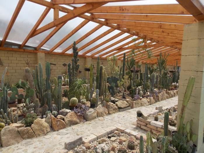 amely beszélgetésből megtudhatjuk, hogy honnan ered Piroska kaktusz-szeretete, és miért hozta létre a múzeumot.