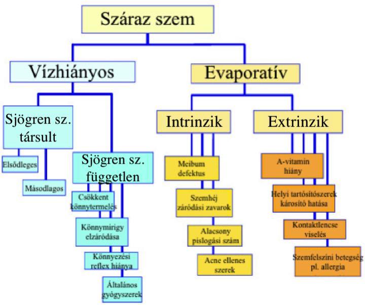 kapcsolatos ismereteket és irányelveket, és elkészítette a száraz szem osztályozását (2. ábra).