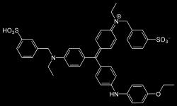 1% festék színtelenítés: metanol, ecetsav elegy SDS-PAGE gél