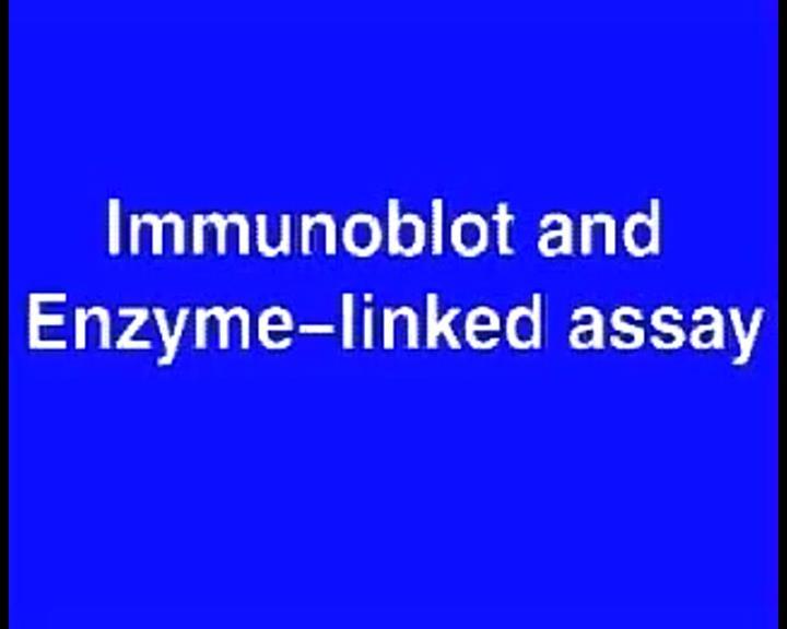 az anti-hiv antitestek