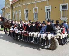 nagyvárosoktól a mocsarakig 2019. aug. 27. szept. 3. 30.