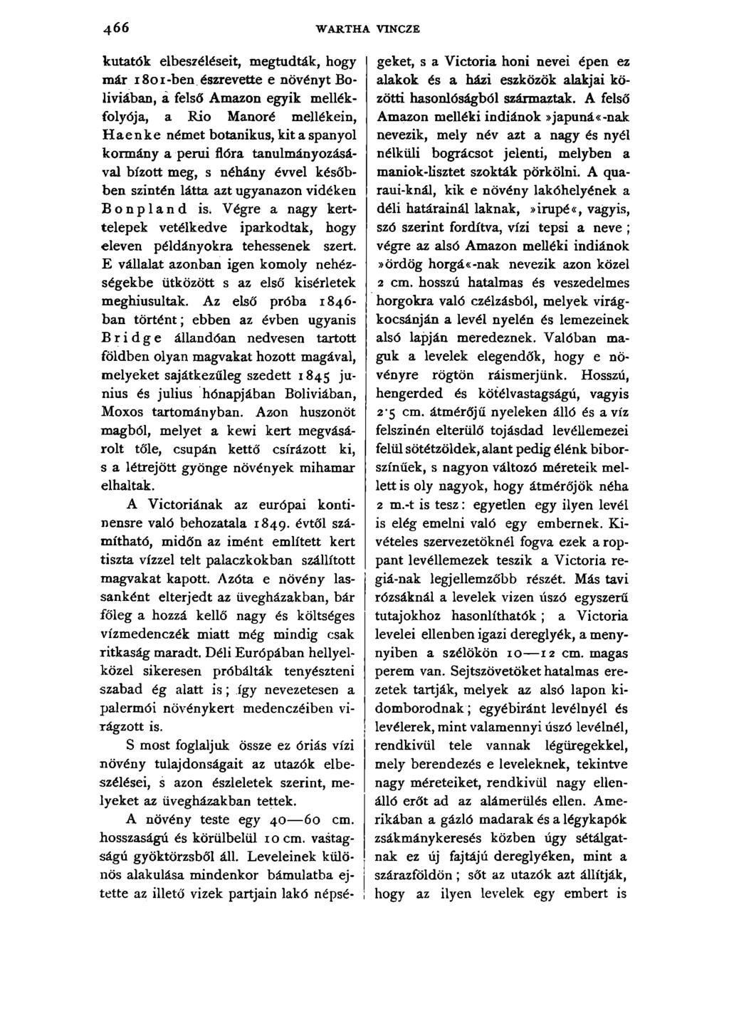 4 6 6 WARTHA VINCZE kutatók elbeszéléseit, megtudták, hogy már 18 0 1-ben észrevette e növényt Bolíviában, á felső Amazon egyik mellékfolyója, a Rio Manoré mellékein, Haenke német botanikus, kit a