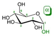 Glükóz C6H12O6 Bioszintézise a széndioxidból CO2 és vízből H2O kiindulva a fotoszintézis során fényenergia felhasználásával történik a növényekben.