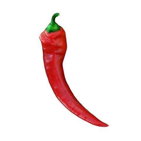 Kosszarvú paprika (Capsicum annuum var. ceratoides) A nemzetközi szakirodalom több helyen is a magyar paprika alakkörök közé sorolja a kosszarvú paprikát.