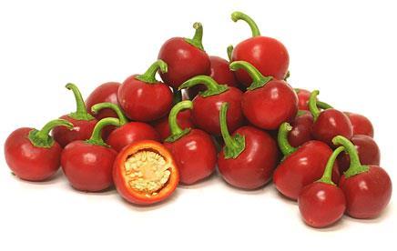 - A cseresznyepaprika (Capsicum annuum L. var. cerasiforme) A cseresznyepaprika a hazai szakmai nomenklatúra alapján a fűszerpaprika fajhoz tartozó paprikatípus.