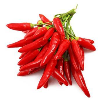 4. Fejezet - A chili paprika származása és anatómiája (Capsicum frutescens; Capsicum annuum.