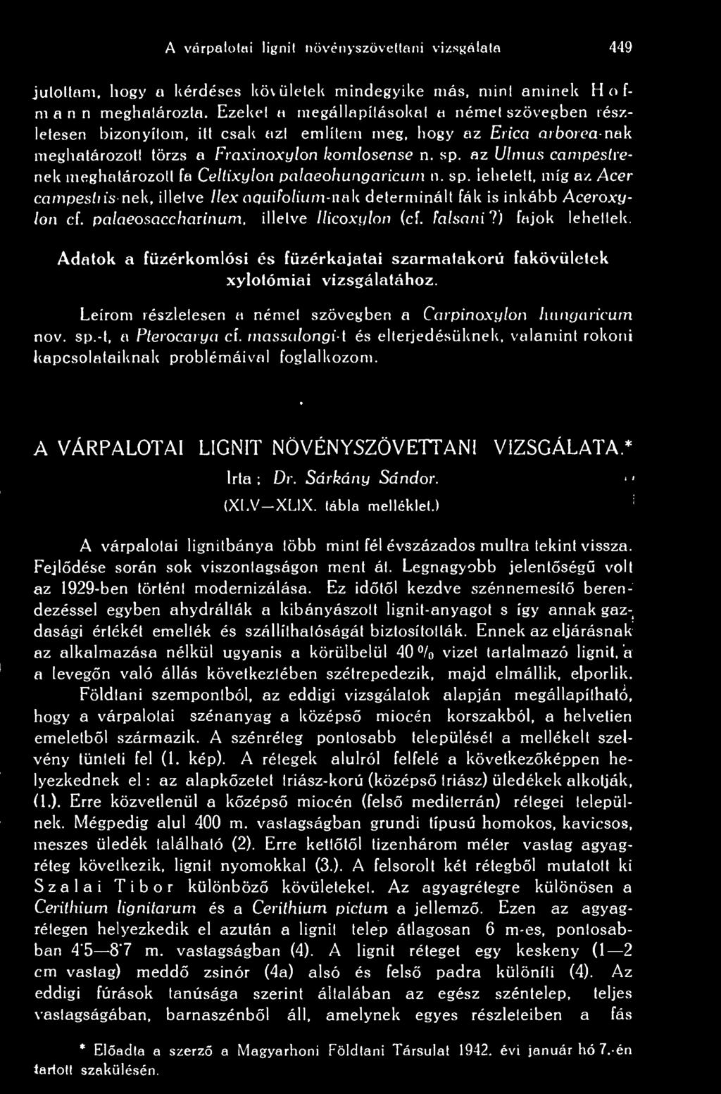 az Ulmus campeslrenek meghatározott fa Celtixylon palaeohungaricum n. sp. lehetett, míg az Acer campesti is nek, illetve llex aquifolium- nak determinált fák is inkább Aceroxylon cf.