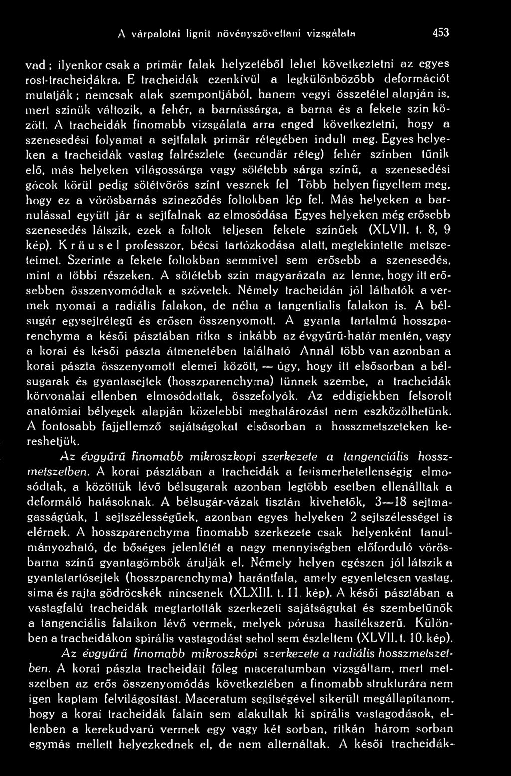 között. A tracheidák finomabb vizsgálata arra enged következtetni, hogy a szenesedési folyamai a sejtfalak primer rétegében indult meg.