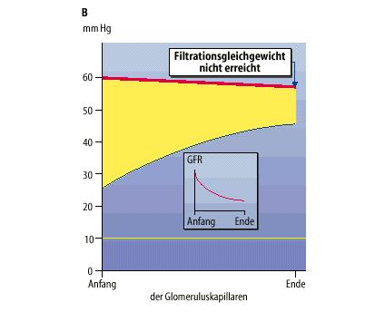 filtrációs koefficiens P eff = effektiv