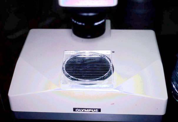 Mite Fauna Investigation Followed by Scientifically Reducing House Dust Mite Less than 50/M 2 per 20 Seconds of Aspiration Can Cure Severe Intractable Atopic Dermatitis for Years to Come was