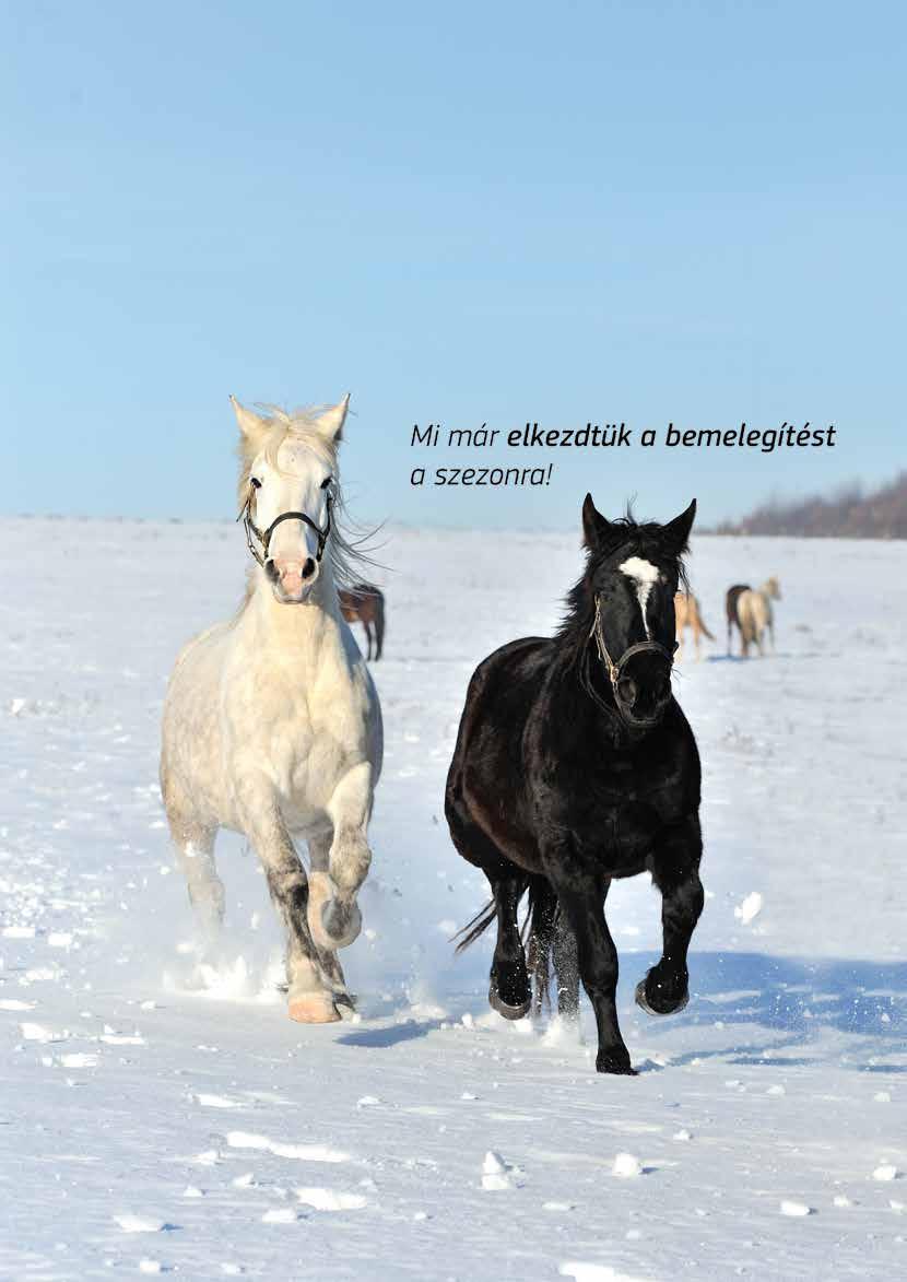 AXIÁL LAPOK 2019 FEBRUÁR
