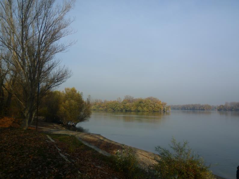 A Duna partján,