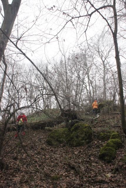 környezete (bl