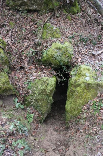 középső kép, jobb